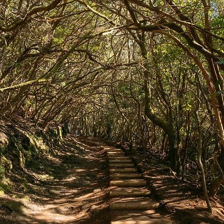 Oasis Brisa Marina Daire Bajamar  Dış mekan fotoğraf