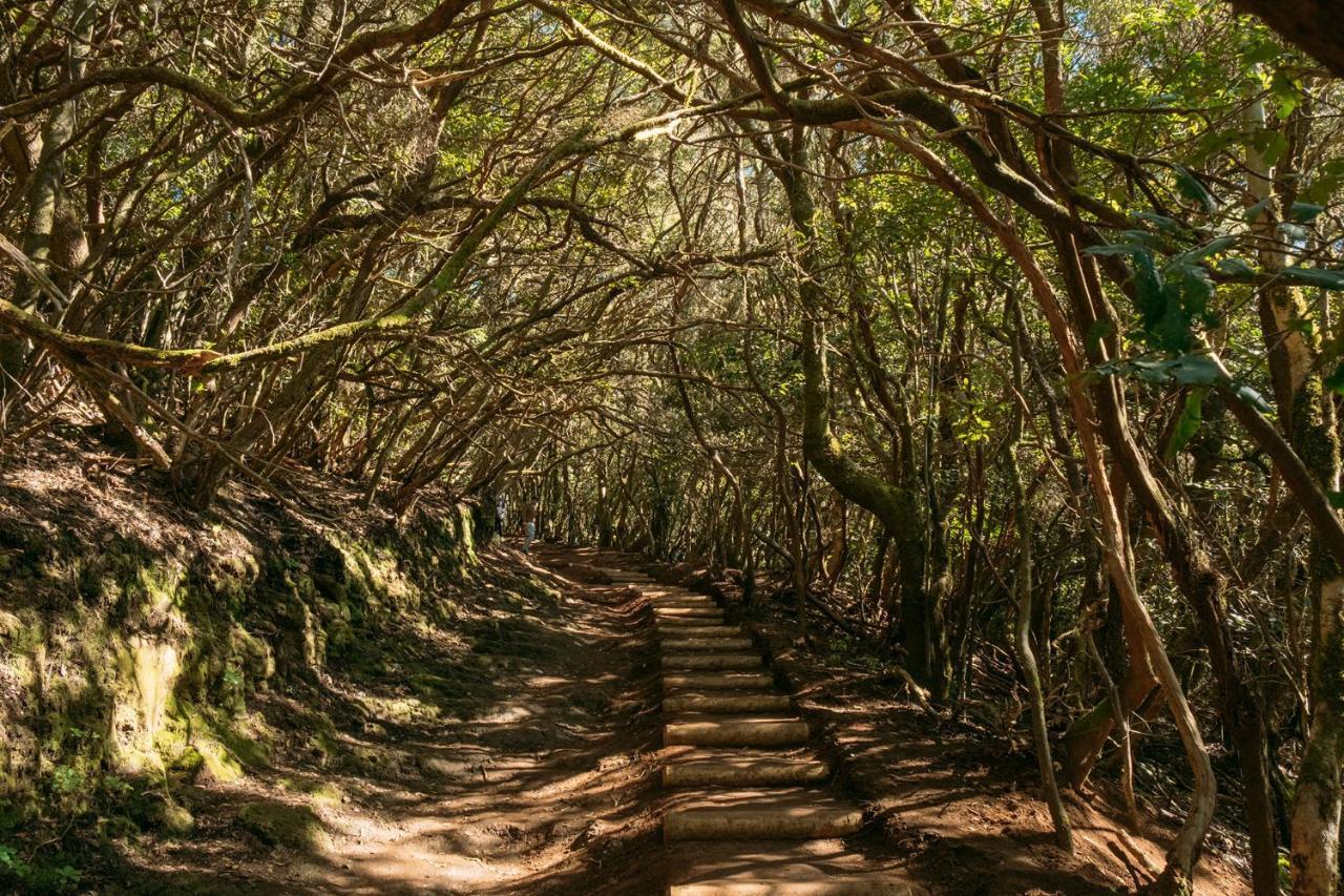 Oasis Brisa Marina Daire Bajamar  Dış mekan fotoğraf